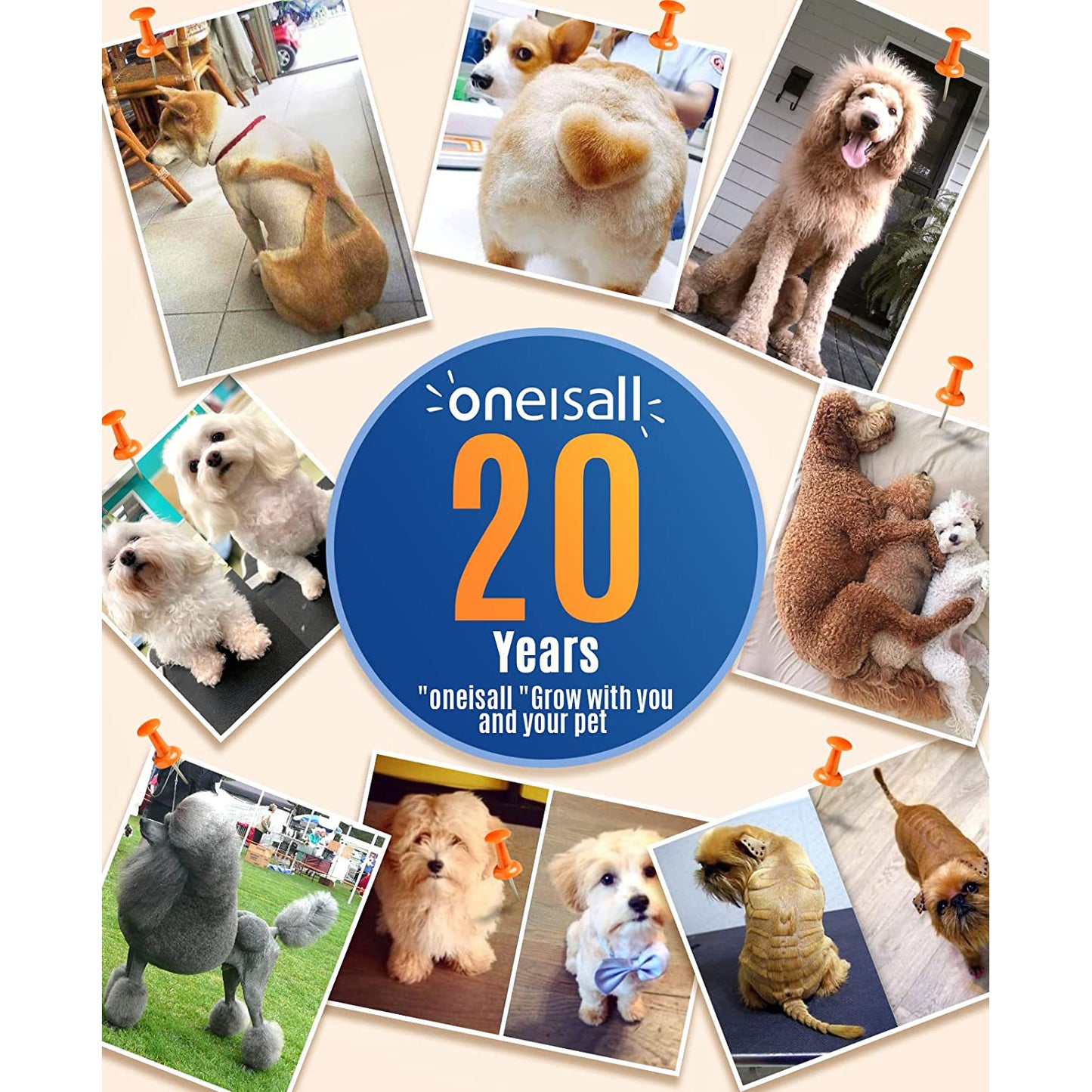 Oneisall Dog Clippers/Dog Paw Trimmer with Double Blades 2 in 1 Quiet Dog Grooming Clippers/Cordless 2 Speed Small Pet Hair Trimmers for Dog's Hair Around Paws, Eyes, Ears, Face, Rump