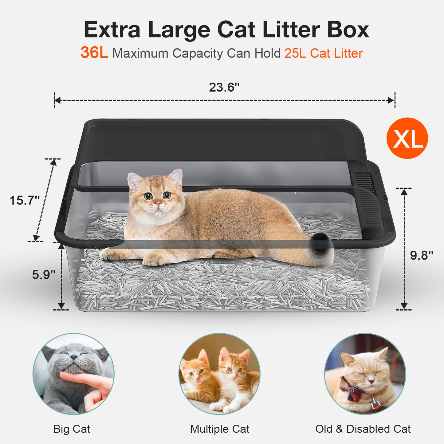 Oneisall XL Stainless Steel Cat Litter Box for Multiple Cats, MS-60 Metal Cat Litter Box with Scoop & Mat, Black