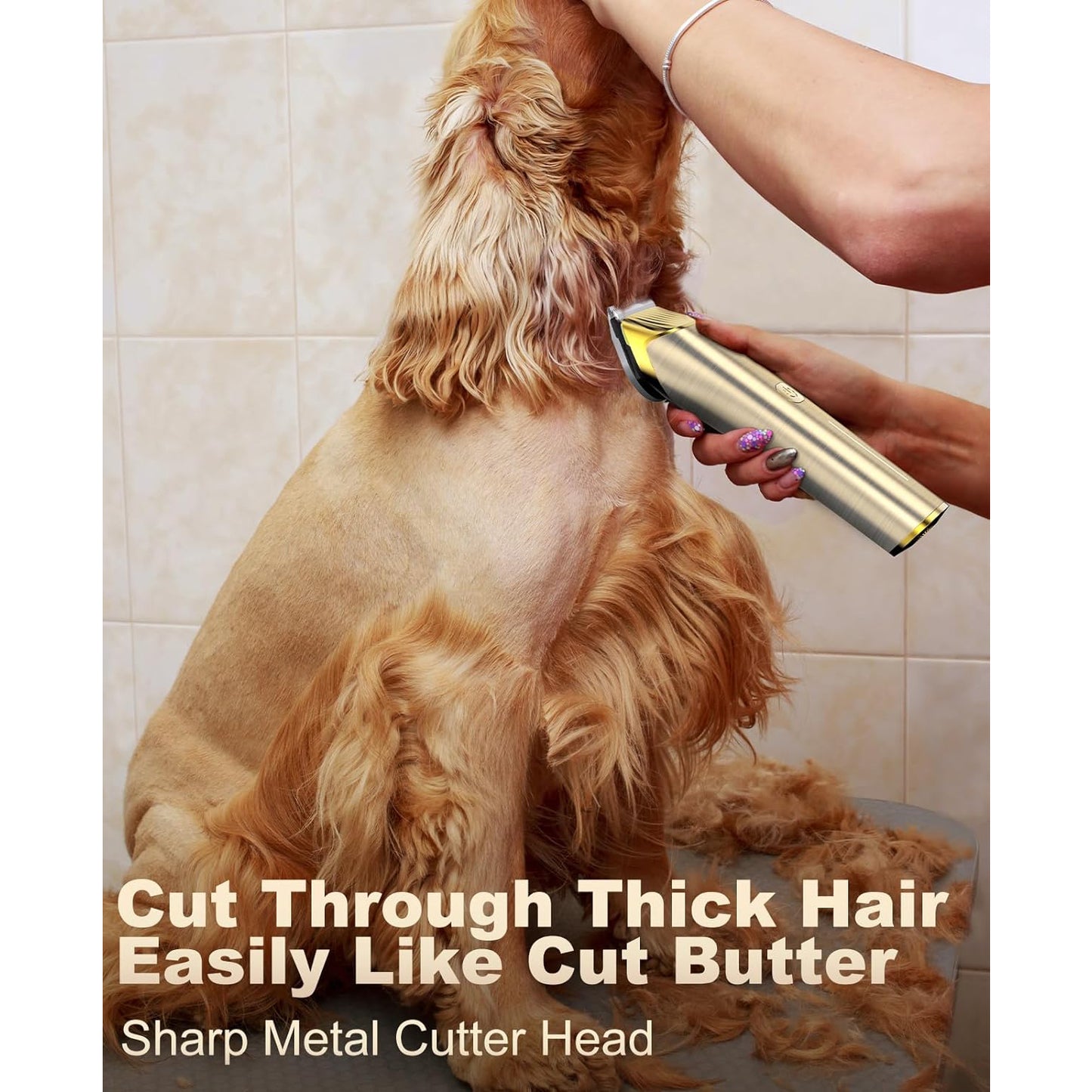 Oneisall RK-034 Dog Clippers for Grooming, 2 Speed Low Noise Dog Grooming Kit with Detachable Metal Blade & 5 Guide Guards, Cordless Dog Grooming Clippers, Gold