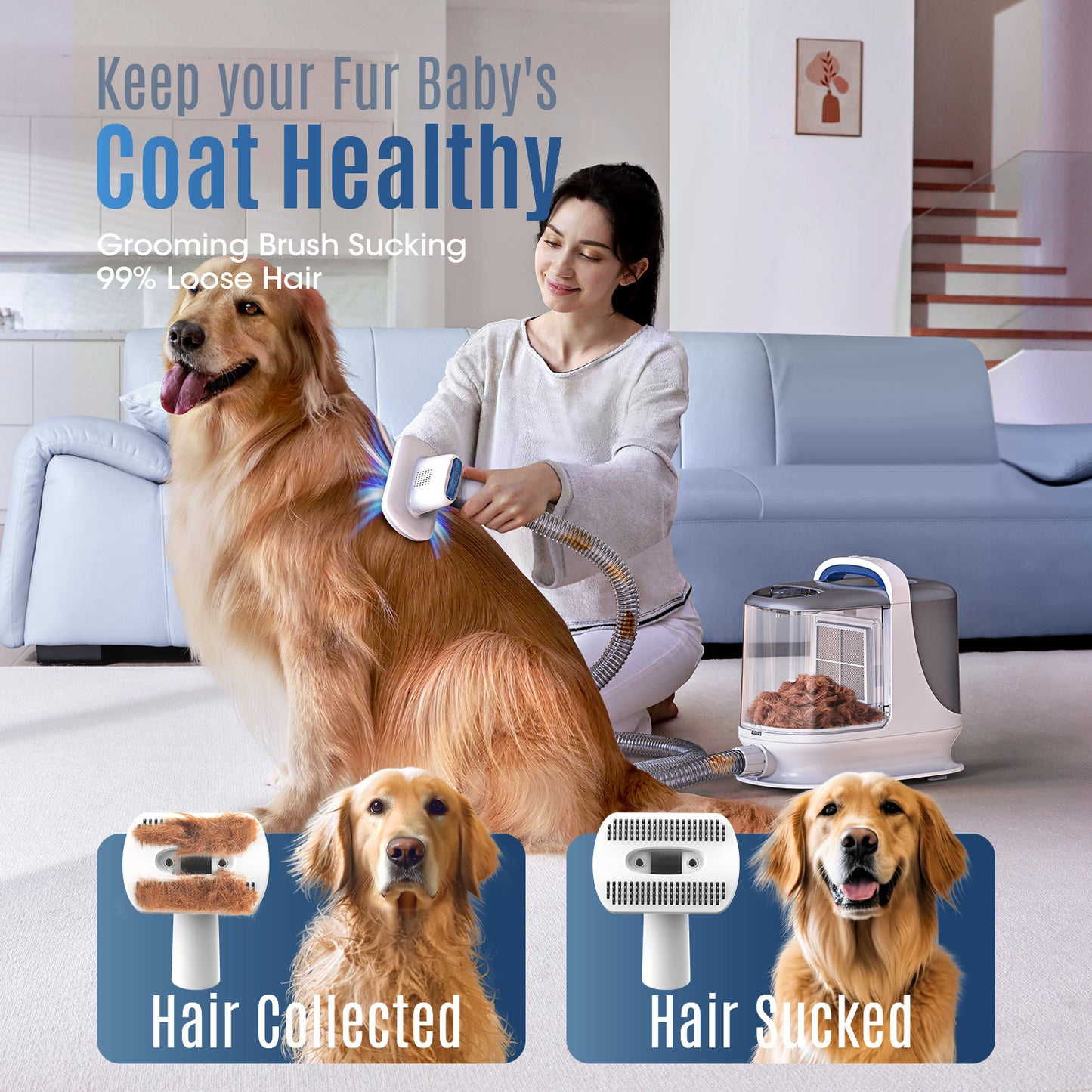 Oneisall Dog Grooming Vacuum/13Kpa Low Noise Pet Grooming Vacuum /3L Large Dust Bin Dog Vacuum for Shedding Grooming/Dog Grooming Kit Including 6 Tools for Dhedding Thick Coats and Home Cleaning