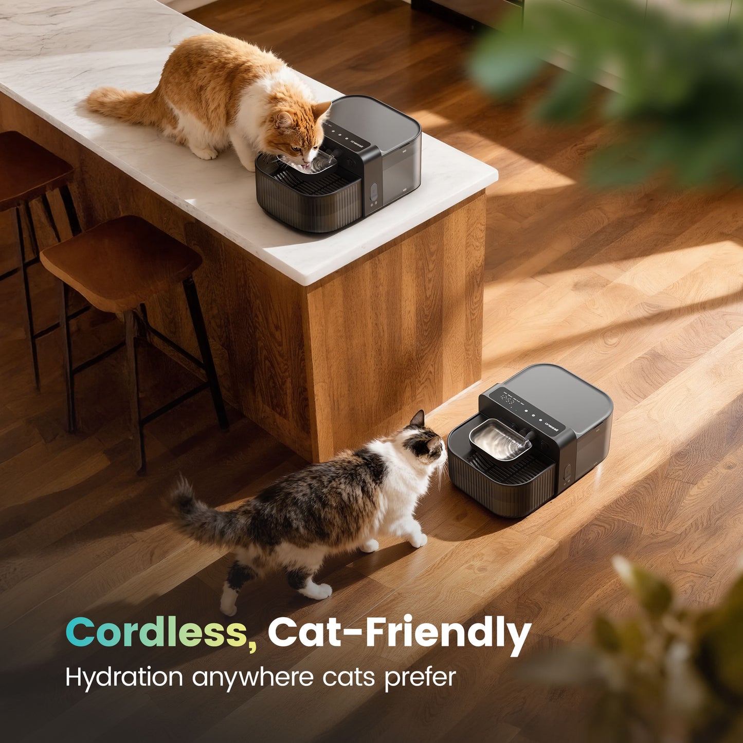 Oneisall PW17 Filterless Cat Water Fountain, 3.5L/118oz Separate Clean and Dirty Water Pet Fountain with Stainless Steel Bowl, Wireless Cat Water Fountain, Black